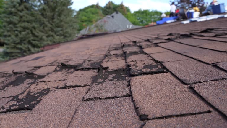Best Commercial Roofing Services  in Westlake Village, CA
